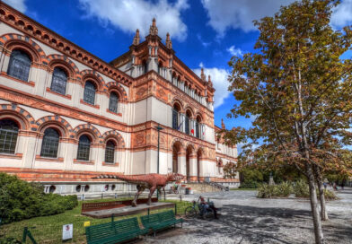 Museo civico di Storia Naturale (#446)