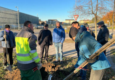 “PiantaLa a Lainate: Un Respiro Verde per la Nostra Comunità Urbana”