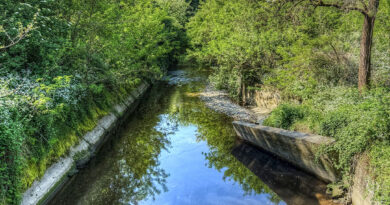 Sversamento nel torrente Lura: preoccupazioni per l’ecosistema anche nel territorio di Lainate