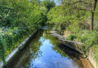 Sversamento nel torrente Lura: preoccupazioni per l’ecosistema anche nel territorio di Lainate